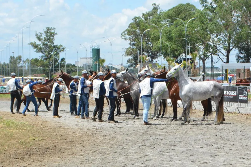 Feira de Santana entra na reta final para a maior e mais moderna edição da história da Expofeira