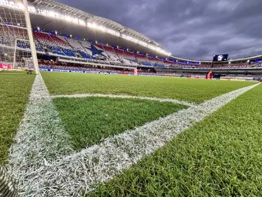 Remo x Atlético-MG: Mangueirão recebe duelo de gigantes pela 22ª rodada do Brasileirão