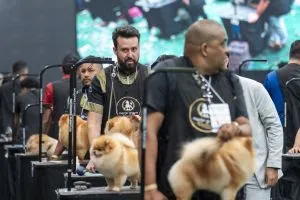MasterGroom chega aos 10 anos com 600 competidores e reforça Brasil como potência mundial da estética animal