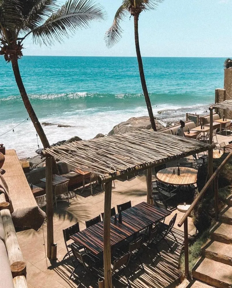 Blue Praia volta a ser um dos pontos de observação das baleias-jubarte em Salvador